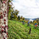 Von Linz auf die Giselawarte