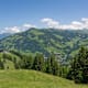 Trailrun: Gstaad - Rübeldorf - Eggli - Gstaad