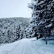 Rodelbahn Tarsch