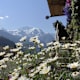 Isenfluh Panoramaweg Sulssee