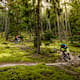 Freiberger Alm Tour