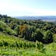 Weinwanderung Kitzeck