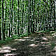 Wohlfühlweg „Der Wienerwald bei Rekawinkel“