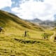 Livigno, Val Federia