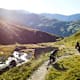 Kleine Trela Trail Tour