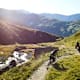 Ofenpass über den Passo Trela bis nach Livigno