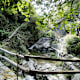 Monte Comino - Costa - Intragna