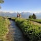 Die historische Wasserroute: Haute Nendaz – Planchouet – Haute Nendaz
