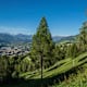 Rundweg Mellaun bei Brixen
