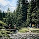Mitterastenalm, Durchgangalm und Rauriser Urwald