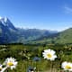 Reichenbachtal mit Schwarzwaldalp