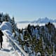 Rigi Lake View Walk im Winter