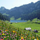 Brülisau - Sämtisersee