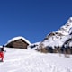 Schollenhorn