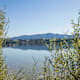 Slow-Bike-Tour, Etappe 2: Von Oberndorf nach Mattsee