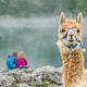 Rundwanderung vom Seebergsee zur Alp Stierenberg