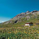 Hochtour auf den Piz Sesvenna von der Sesvennahütte