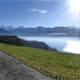 Zu Fuss um den Thunersee - Etappe 4: Spiez-Thun