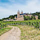 Rund um Rüdesheim