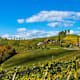 Kulinarische Weinberg-Wanderung in Glanz an der Südsteirischen Weinstraße