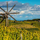 Weinwanderweg Ratsch-Ottenberg (Variante 21a) an der Südsteirischen Weinstraße