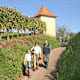 Von Gengenbach zum Mooskopf