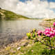 Palfnersee