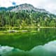 Ahorn- und Grafenbergsee