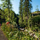 Albsteig Schwarzwald Etappe 4 Tour West: St. Blasien - Bernau