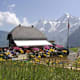Mountain View Trail in Mürren