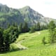 Alp Fahl oder Ramsermatte
