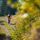 GPS Alter Schyn-Runde