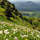 Extratour Kuppenweg - Geroda - Rhön