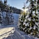 Am Vierawasch in Mühlbach am Hochkönig