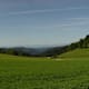 Ameisenweg Nr. 45