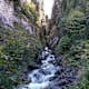 Argenschlucht und Auer Ried: Zarte Pflanzen und Holzhütten