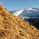 Wanderung zur Almwirtschaft Arztal (Arztaler Alm) vom Parkplatz Hinterlarcher/Ellbögen