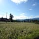 Attersee, Abtsdorf - Panoramaweg