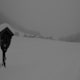 Auf die Labalm mit Schneeschuhen