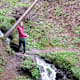 17-Kräuter-Weg ab Berg – über Glocknerhof und Greifenburg