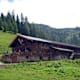 Bärenbadalm - Bärenkopf