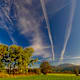 Bergener Moorlandschaft