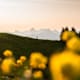Über den Fellhorngrat