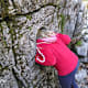 Bergwald-Erlebnispfad
