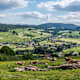 Bernau im Schwarzwald: Bernauer Hochtal Steig - Genießerpfad