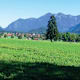 Blasialm-Rundweg (Frauenschuh)