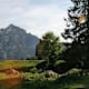 Bleckwand über Schartenalm und Niedergadenalm