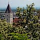 Donausteig-Südroute, Etappe 10 (G3): Von Mauthausen nach Perg