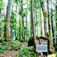 Brander Tal