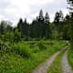 Burgherren Runde um die Burg Landskron